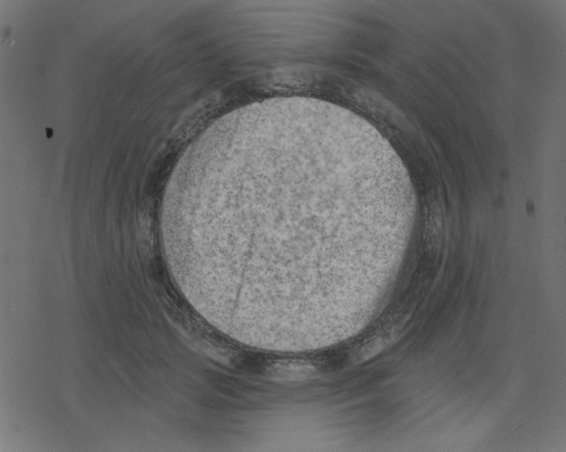 X0000078230749200612011539