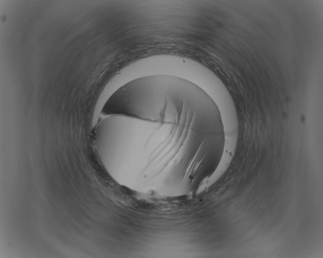 X0000078230750200612011539