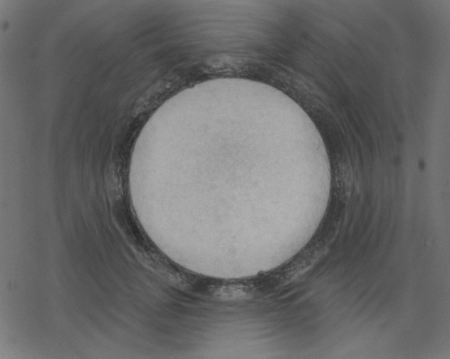 X0000078230751200612011539