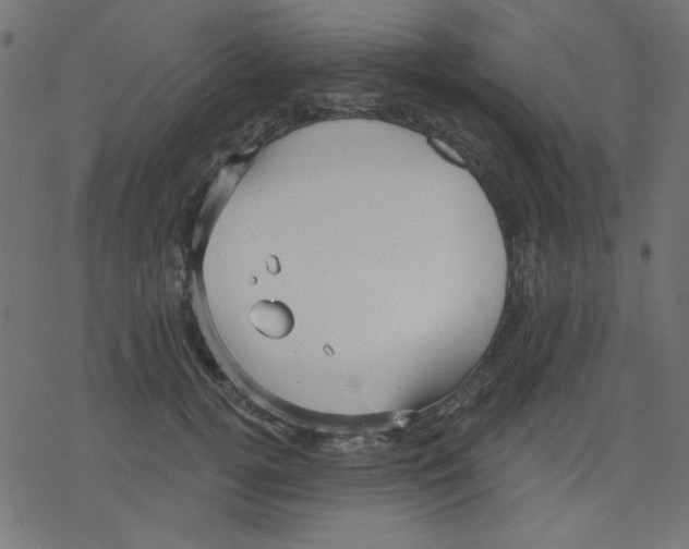 X0000078230752200612011539