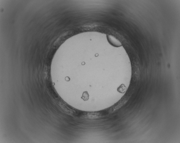 X0000078230758200612011539