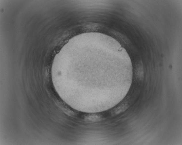 X0000078230759200612011539