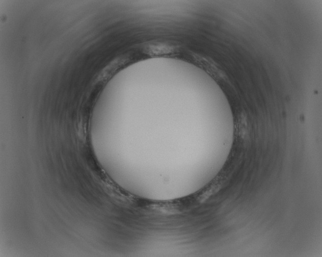 X0000078230763200612011539