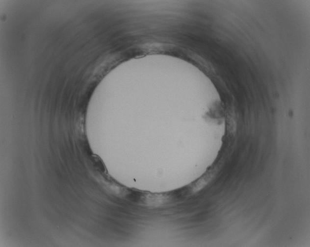 X0000078230766200612011540