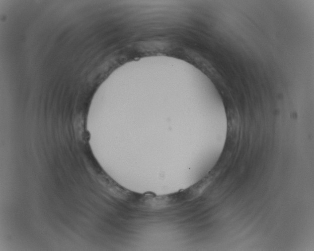 X0000078230767200612011540