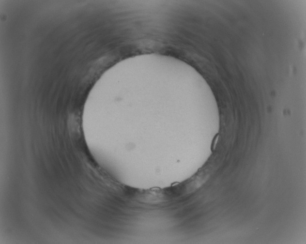 X0000078230768200612011540