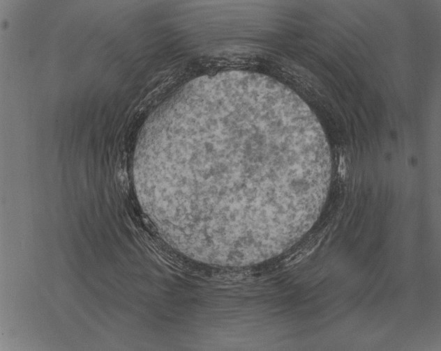 X0000078230771200612011539