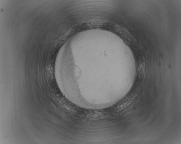 X0000078230772200612011539