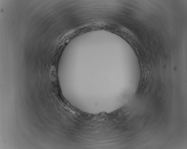 X0000078230773200612011539