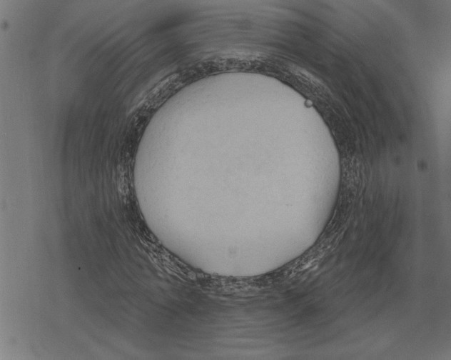 X0000078230774200612011539