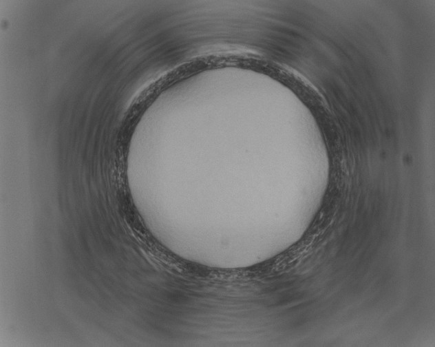 X0000078230775200612011539