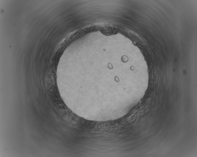 X0000078230776200612011539