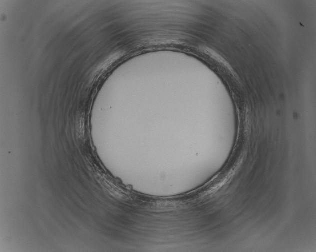 X0000078230777200612011539