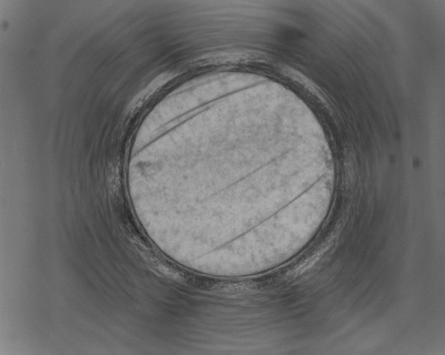 X0000078230778200612011539