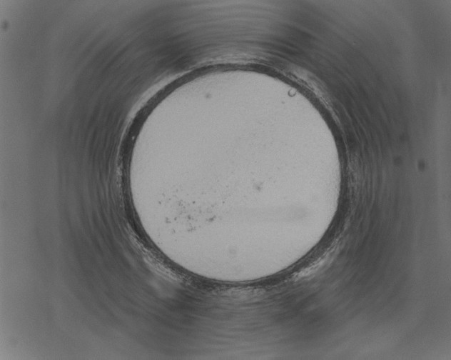 X0000078230779200612011539