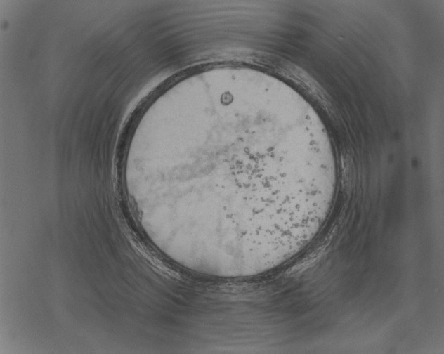 X0000078230780200612011539