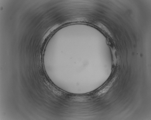 X0000078230781200612011539