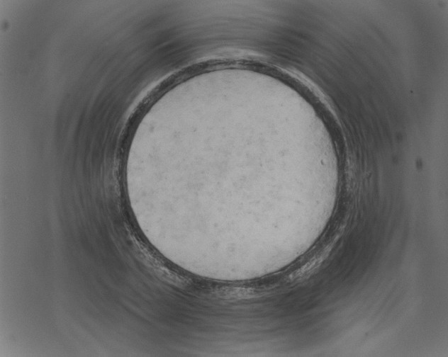 X0000078230783200612011539