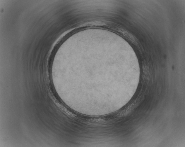 X0000078230784200612011539