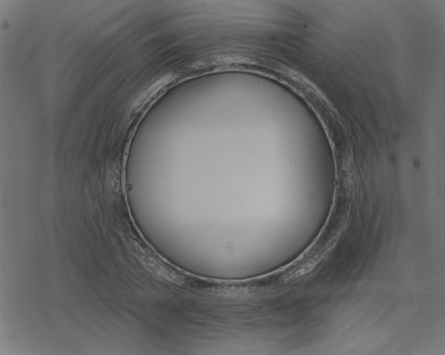 X0000078230785200612011539