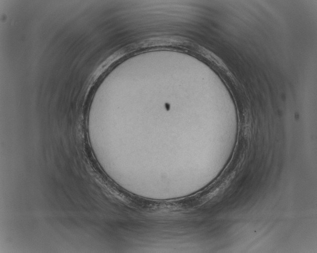 X0000078230786200612011538