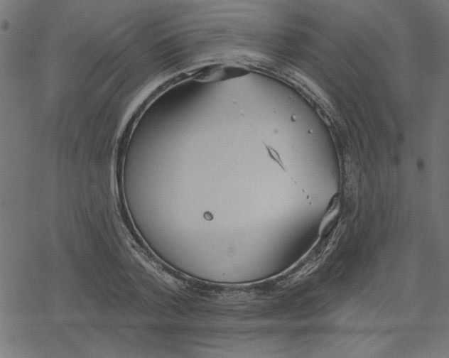 X0000078230788200612011538