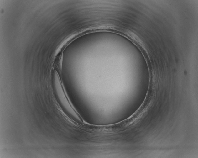 X0000078230789200612011538