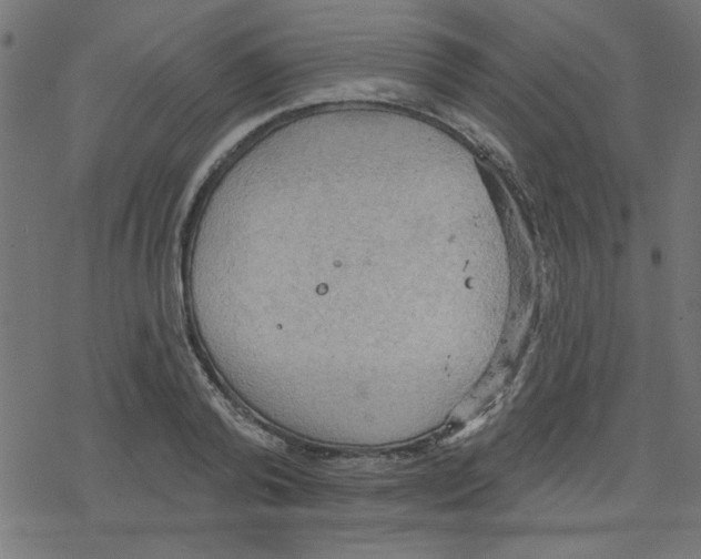 X0000078230792200612011538