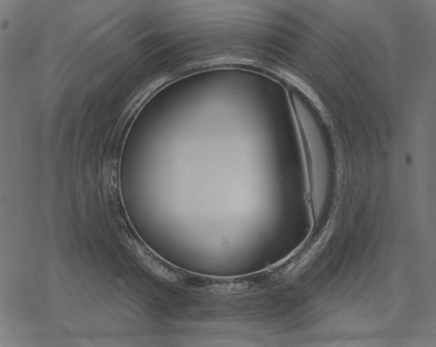 X0000078230793200612011538