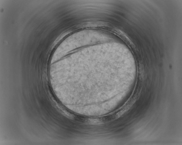 X0000078230794200612011538