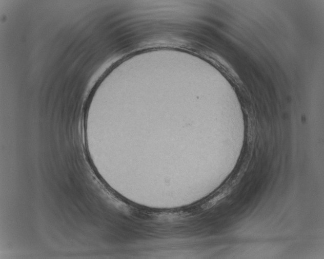 X0000078230796200612011538