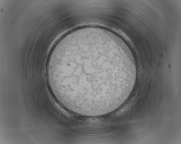 X0000078230799200612011538