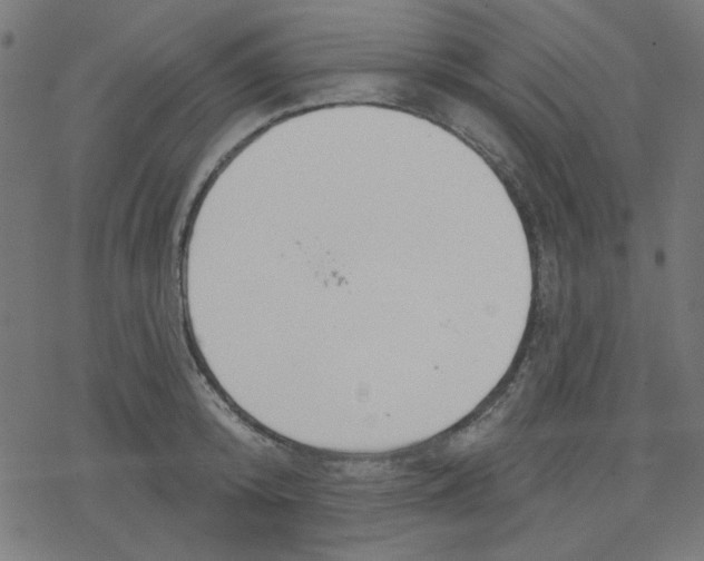 X0000078230800200612011538