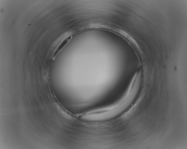 X0000078230801200612011538