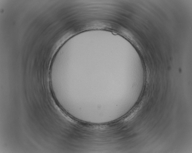 X0000078230802200612011538