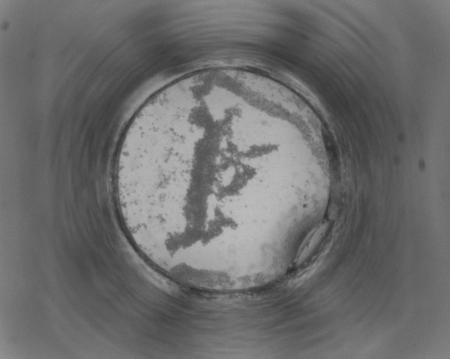 X0000078230803200612011538