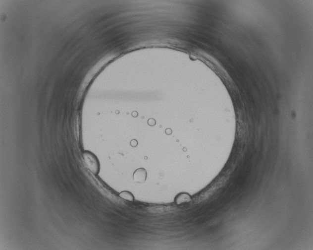 X0000078230804200612011538