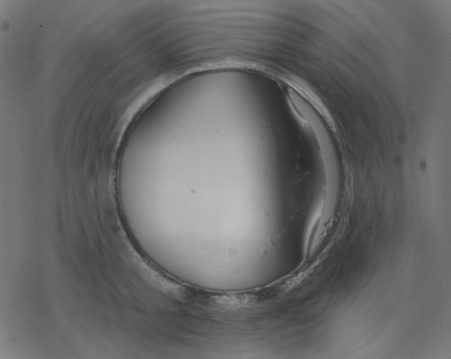 X0000078230805200612011538