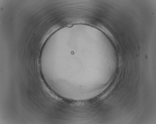 X0000078230806200612011538