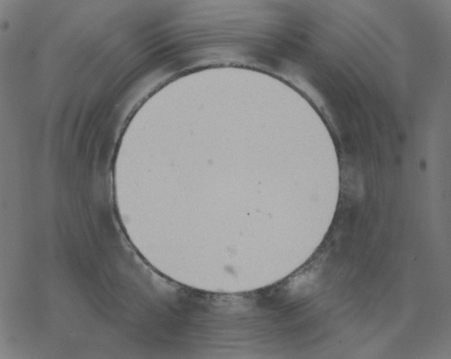 X0000078230807200612011538