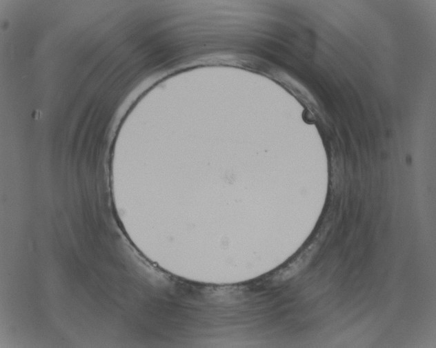 X0000078230808200612011538