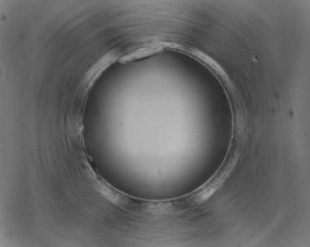 X0000078230809200612011538