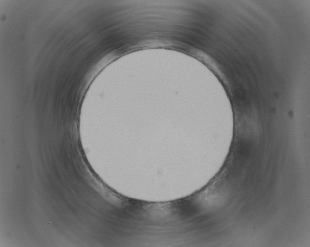 X0000078230810200612011538