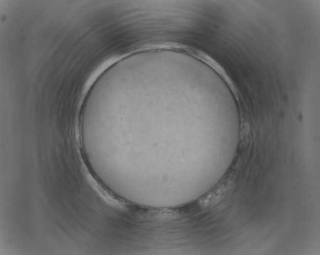 X0000078230811200612011538