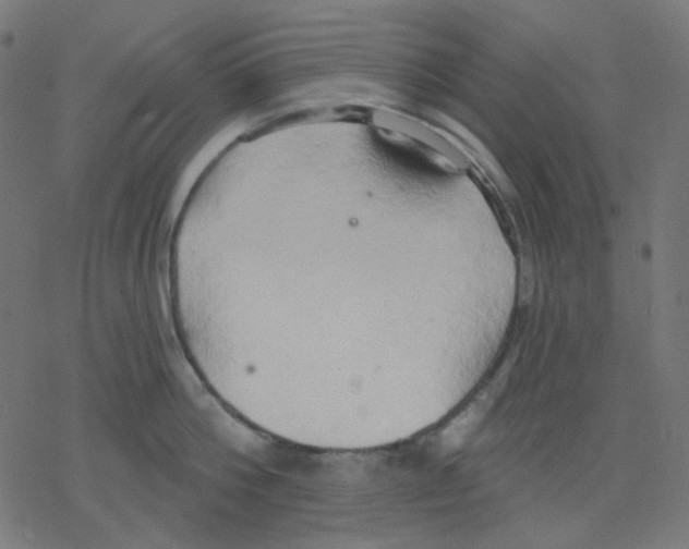 X0000078230812200612011538