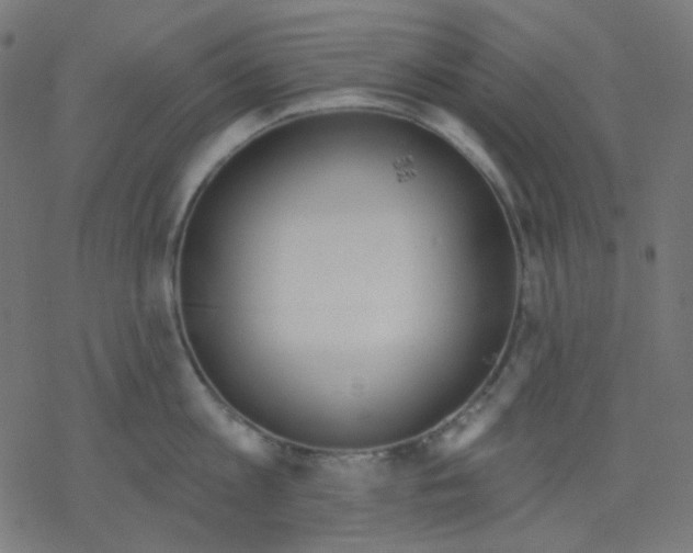 X0000078230813200612011538