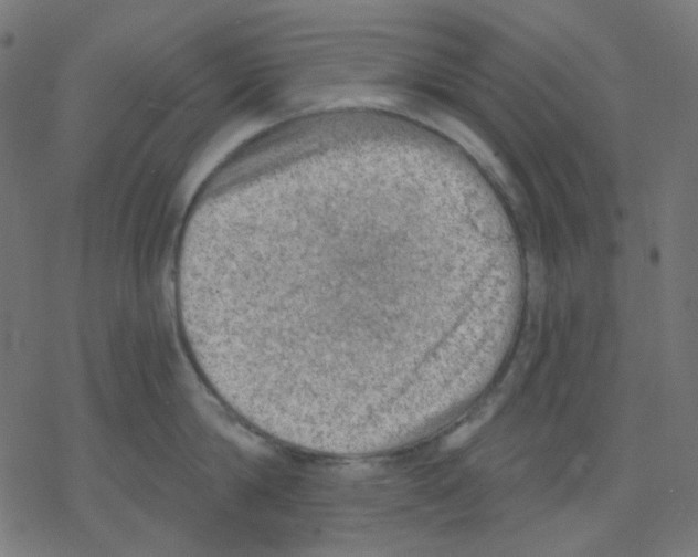 X0000078230814200612011538