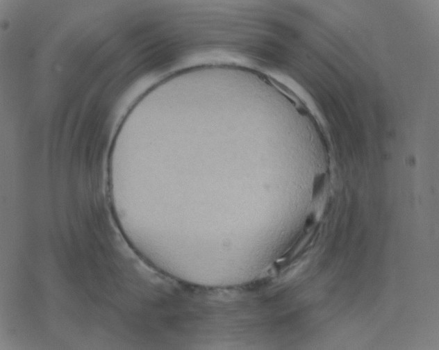 X0000078230815200612011538