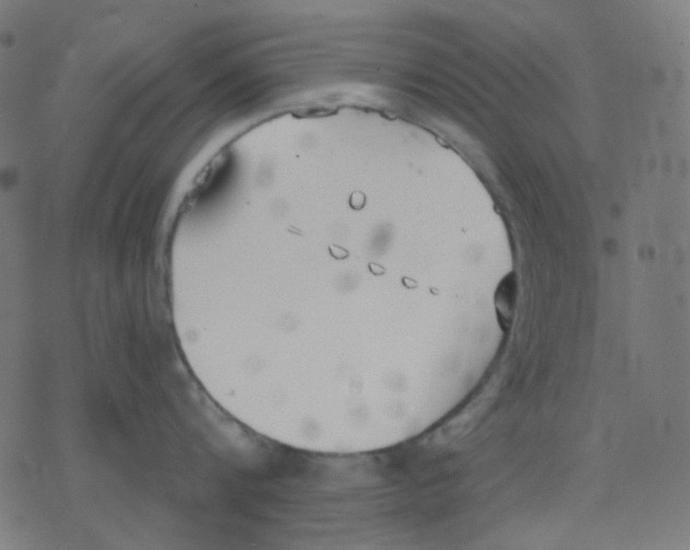 X0000078230816200612011538