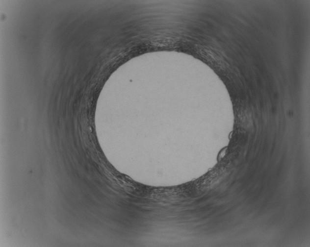 X0000078230817200612011537